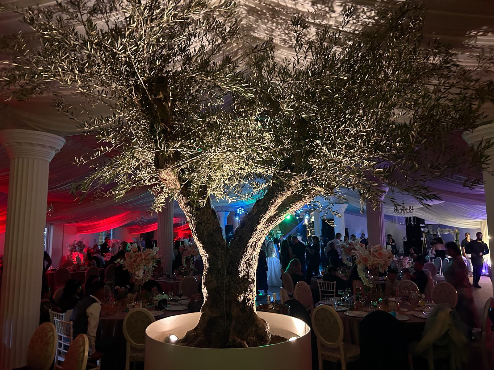 Sala de evenimente in Floresti – sala de nunti, botezuri, concerte si petreceri private  Cuvinte cheie: sala nunti moderna, sala nunti aproape de Cluj, parcare si spatiu generos, sala botezuri Floresti, sala petreceri private, sala majorate, sala de concerte Floresti, evenimente live, lansaricerinte, fiind adaptabil atat ca sala de nunti, cat si ca sala de botezuri sau sala de petreceri private, cu dotari moderne si atmosfera eleganta.     Cuvinte cheie: sala nunti moderna, sala nunti aproape de Cluj, parcare si spatiu generos, sala botezuri Floresti, sala petreceri private, sala majorate, sala de concerte Floresti, evenimente live, lansari care cauta o sala de nunti Cluj, dar isi doresc mai mult confort, parcare si flexibilitate in organizare.

Sala poate fi utilizata si ca sala de concerte, fiind dotata cu spatiu pentru scena, sonorizare si iluminat profesional. In acelasi timp, este potrivita pentru sala de majorate, petreceri tematice sau evenimente private, oferind posibilitatea de personalizare in functie de tipul evenimentului.

Indiferent ca organizezi o nunta, un botez, un concert sau o petrecere privata, o sala de evenimente bine aleasa in Floresti, judetul Cluj, garanteaza o experienta memorabila pentru invitati si o organizare fara stres pentru gazde.

Cuvinte cheie: sala nunti moderna, sala nunti aproape de Cluj, parcare si spatiu generos, sala botezuri Floresti, sala petreceri private, sala majorate, sala de concerte Floresti, evenimente live, lansari si spectacole, sala cununie, sala petreceri corporate